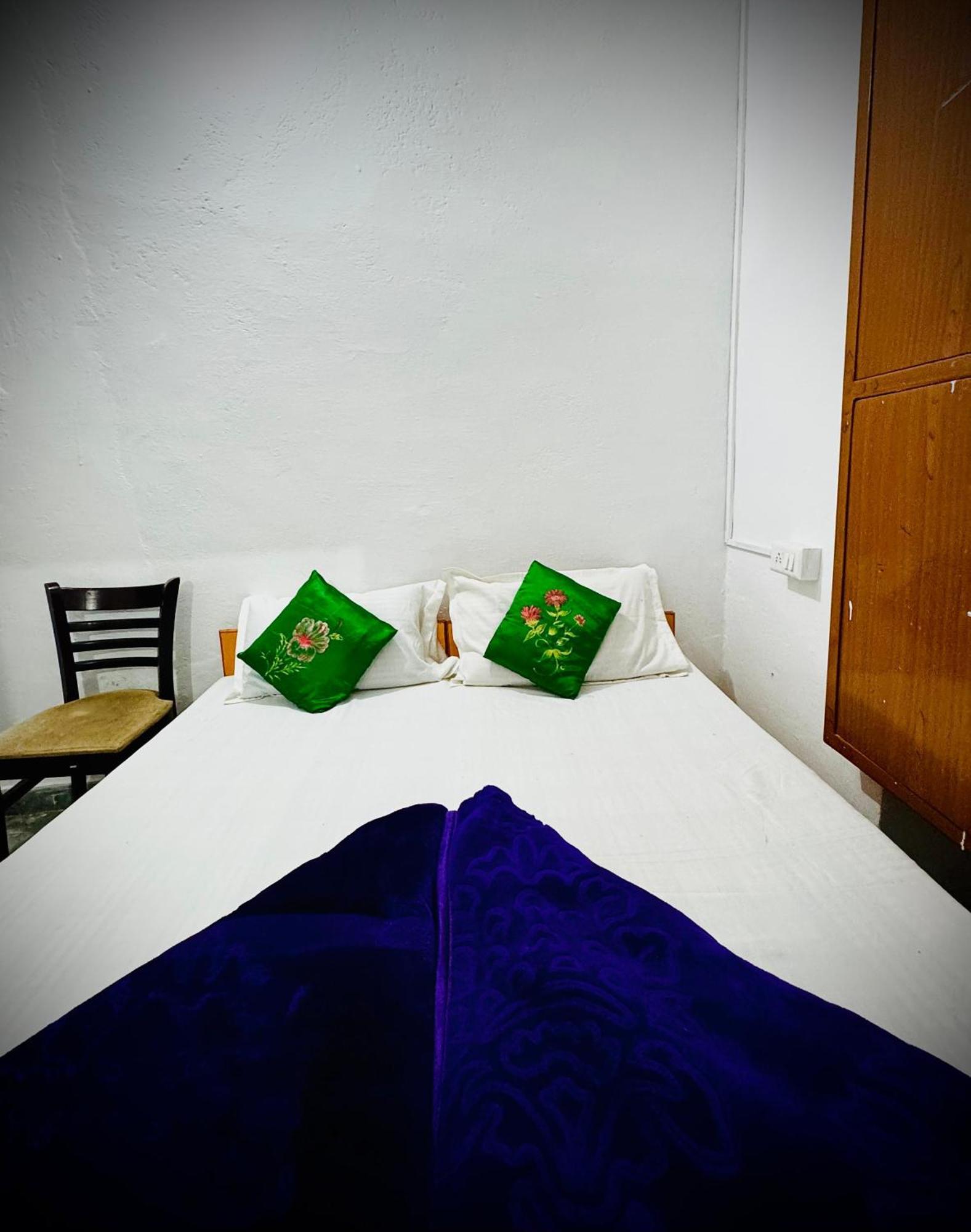 Mohan Villa Guest House 烏代浦 外观 照片